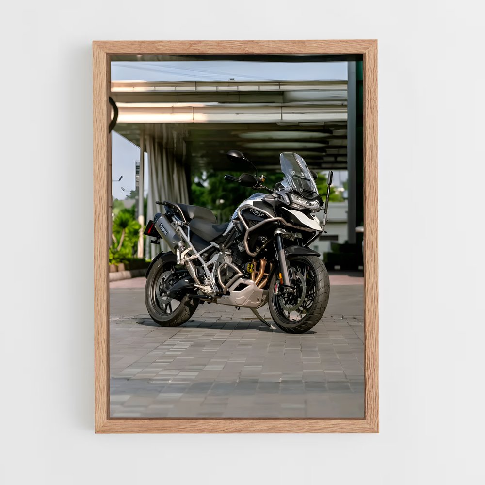 Poster Tigre Majestueux 1200 – affiche Triumph (vue 4)